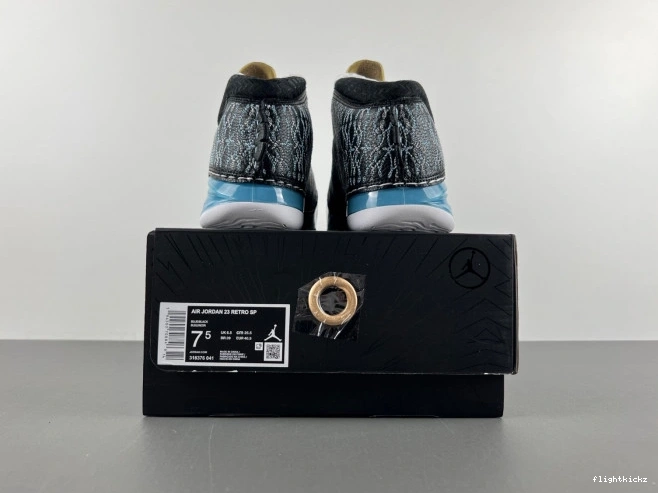23 UNC Jordan 318376-041 0729